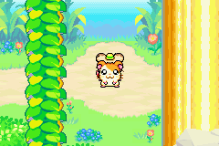 screenshots/Game Boy Advance/Hamtaro - Rainbow Rescue/Hamtaro - Rainbow Rescue (Eng) 063.png